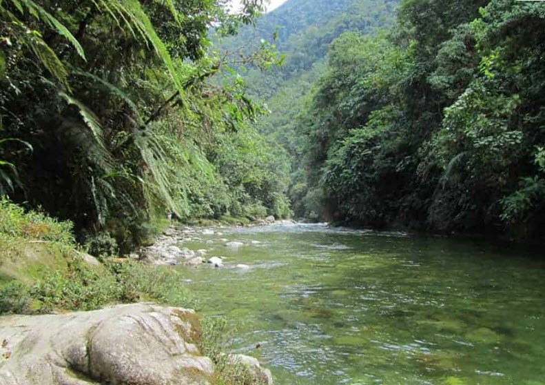 Podocarpus National Park, Loja & Zamora-Chinchipe, Ecuador